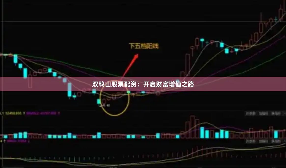 双鸭山股票配资：开启财富增值之路