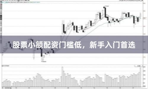 股票小额配资门槛低，新手入门首选
